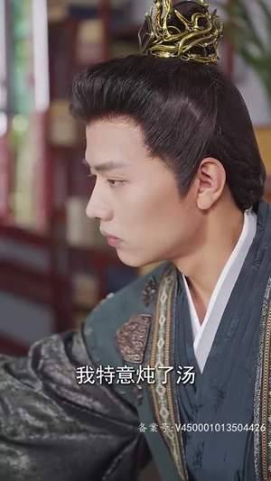 毒宠（79集）一共多少集