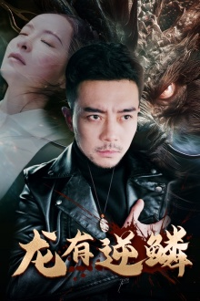 龙有逆鳞（81集）全部免费看全集