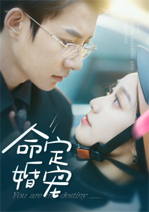 命定婚宠(61集) 命定婚宠(61集)免费短剧大全