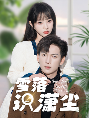 雪落识潇尘（80集）越看越好看短剧