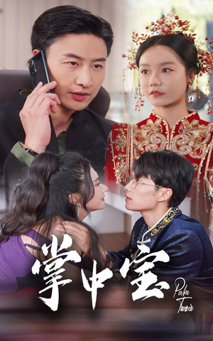 掌中宝（31集）一起看短剧