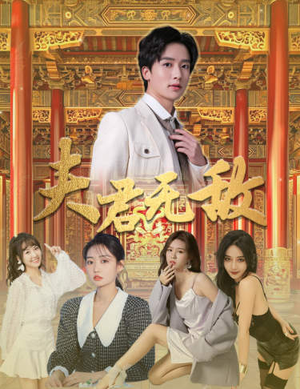 夫君无敌(100集) 夫君无敌(100集)第一季
