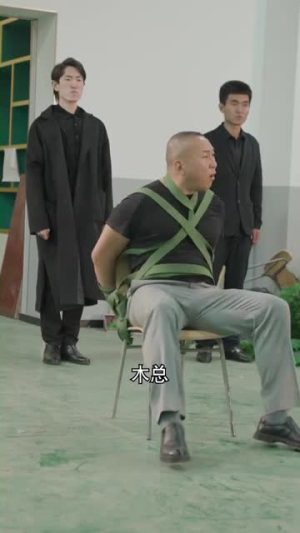 风云令（100集）免费短剧就是爽