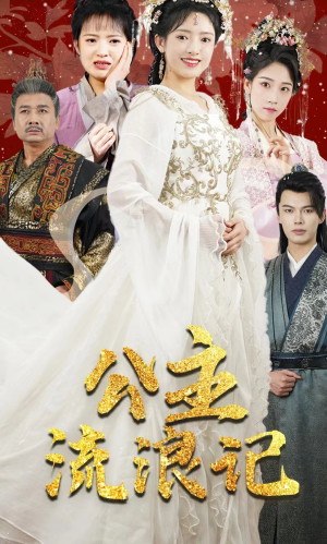 公主流浪记（91集）一共多少集