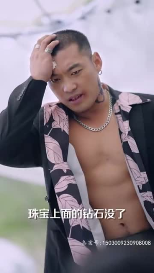 龙争虎斗（86集）短剧热门推荐