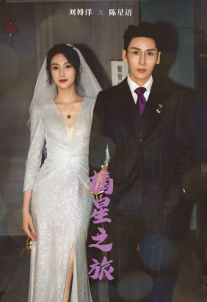 摘星之旅（88集）免费全集短剧