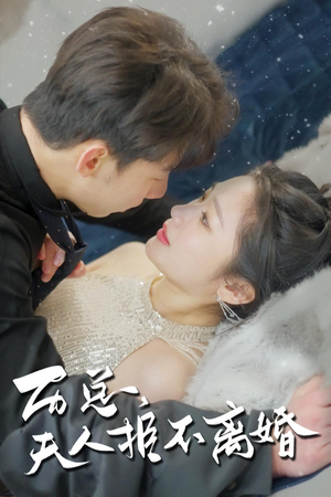 历总，夫人拒不离婚（61集）短剧全集免费看