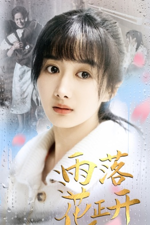 雨落花正开（62集）全集在线看