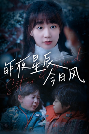 昨夜星辰今日风（62集）精彩短剧后续