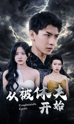 从被休夫开始（68集）在线观看