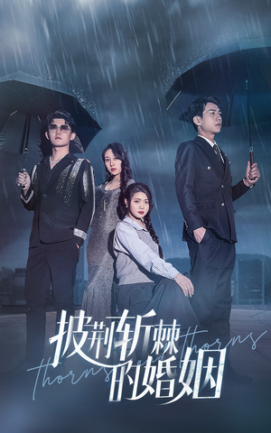 披荆斩棘的婚姻（70集）免费版