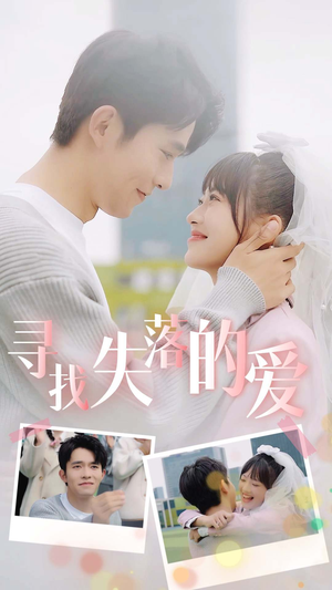 寻找失落的爱（79集）排行榜前十短剧