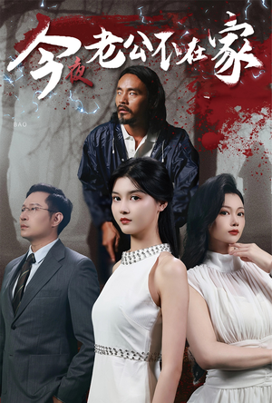 今夜老公不在家（44集）精彩连连免费看