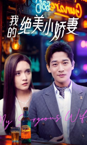 我的绝美小娇妻（80集）在线看免费版