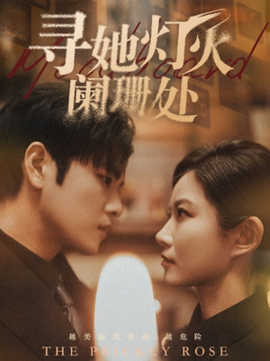 寻她灯火阑珊处（61集）全集都在这里了