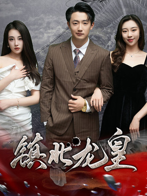 镇北龙皇（97集）在哪里可以全集