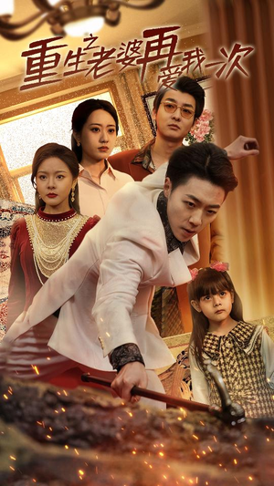 重生2008（94集）一共多少集