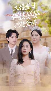 大婚当日伴娘婆婆惊艳全场（30集）独家资源免费看