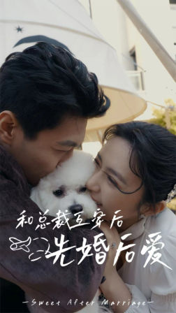 和总裁互穿后先婚后爱（60集）热播短剧重燃