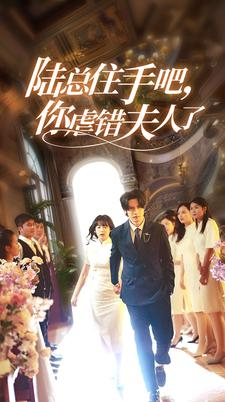 陆总住手吧，你虐错夫人了（80集）全集