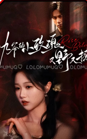 九爷的小玫瑰又野又撩（100集）精彩连连免费看