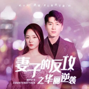 妻子的反攻之华丽逆袭（30集）短剧在线观看