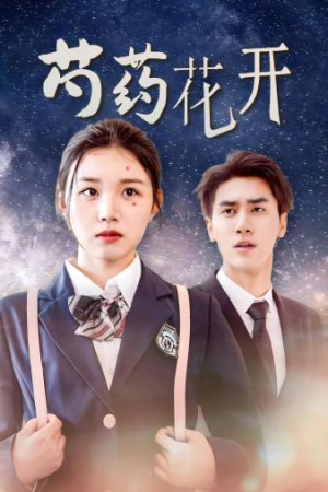 芍药花开（77集）每日分享短剧