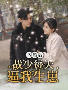 闪婚后战少每天逼我生崽（91集）热门短剧看不停