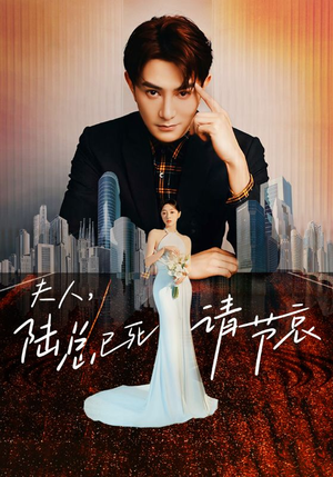 夫人，陆总已死请节哀（95集）红果短剧看全集