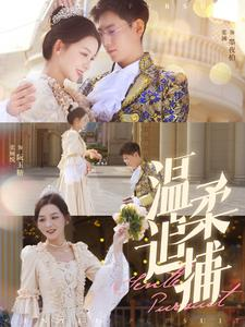 温柔追捕（89集）爆款短剧追不停