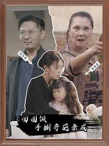 团圆饭手撕奇葩亲戚（40集）短剧免费看