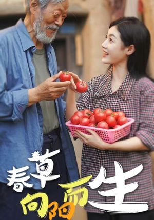 春草向阳而生（53集）战神短剧推荐