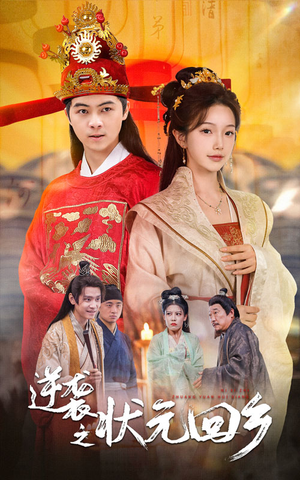 逆袭之状元回乡（60集）深深爱上这部剧