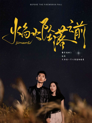 焰火坠落之前（99集）番茄免费短剧