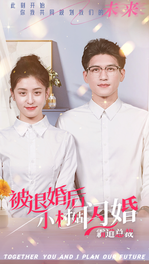 被退婚后，小村姑闪婚霸道总裁（36集）免费版