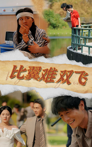 比翼难双飞（30集）爆火短剧追不停