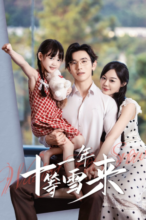 十一年等雪来（50集）独家短剧免费看
