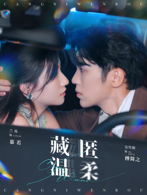 藏匿温柔（99集）免费看全集