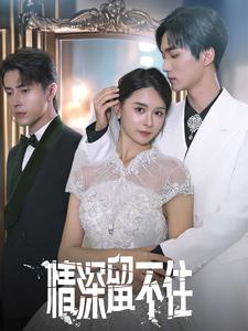 情深留不住（80集）全季一次看完