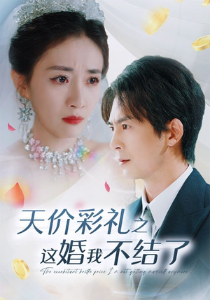 天价彩礼之这婚我不结了（32集）百度网盘资源