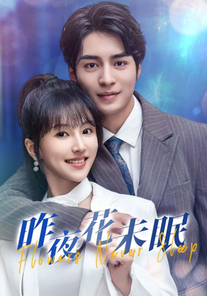 昨夜花未眠（32集）短剧每日分享