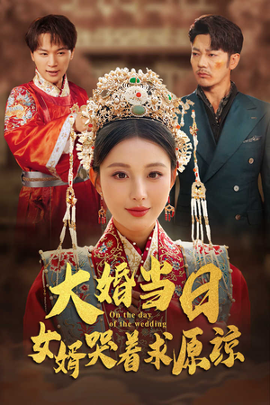 大婚当日，女婿哭着求原谅（31集）全集一网打尽