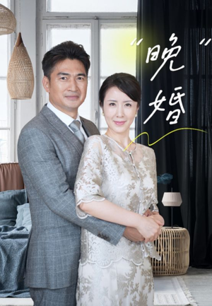 晚婚（65集）经典回顾免费看