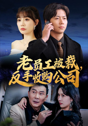 老员工被裁反手收购公司（34集）一起看短剧