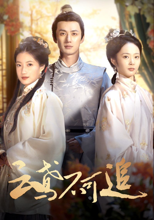 云鸢不可追（42集）好看又上头短剧