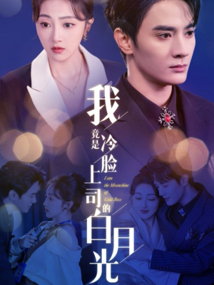 我竟是冷脸上司的白月光（80集）全集在线看