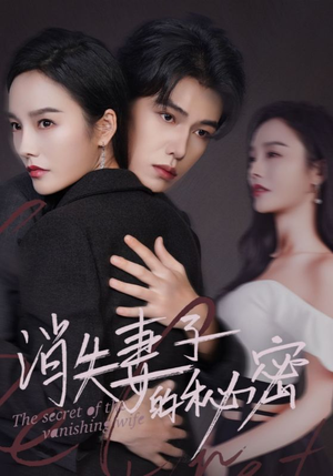 消失妻子的秘密（60）经典回顾免费看