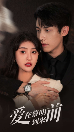 爱在黎明到来前（36集）免费版