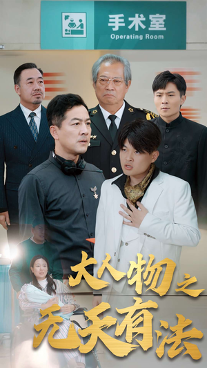 .新大人物之无天有法（35集）短剧追不停