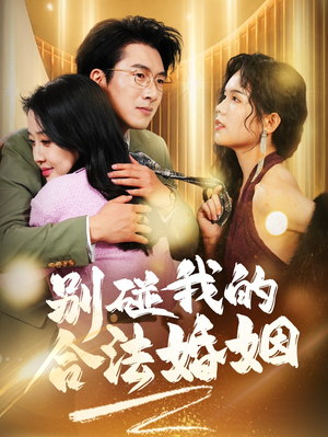 别碰我的合法婚姻（30集）夸克网盘观看